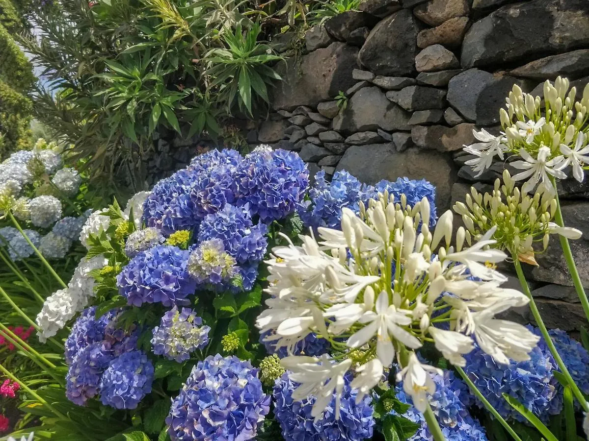 Chalet Achadinha - Mountain Cottage Arco da Calheta  Portogallo