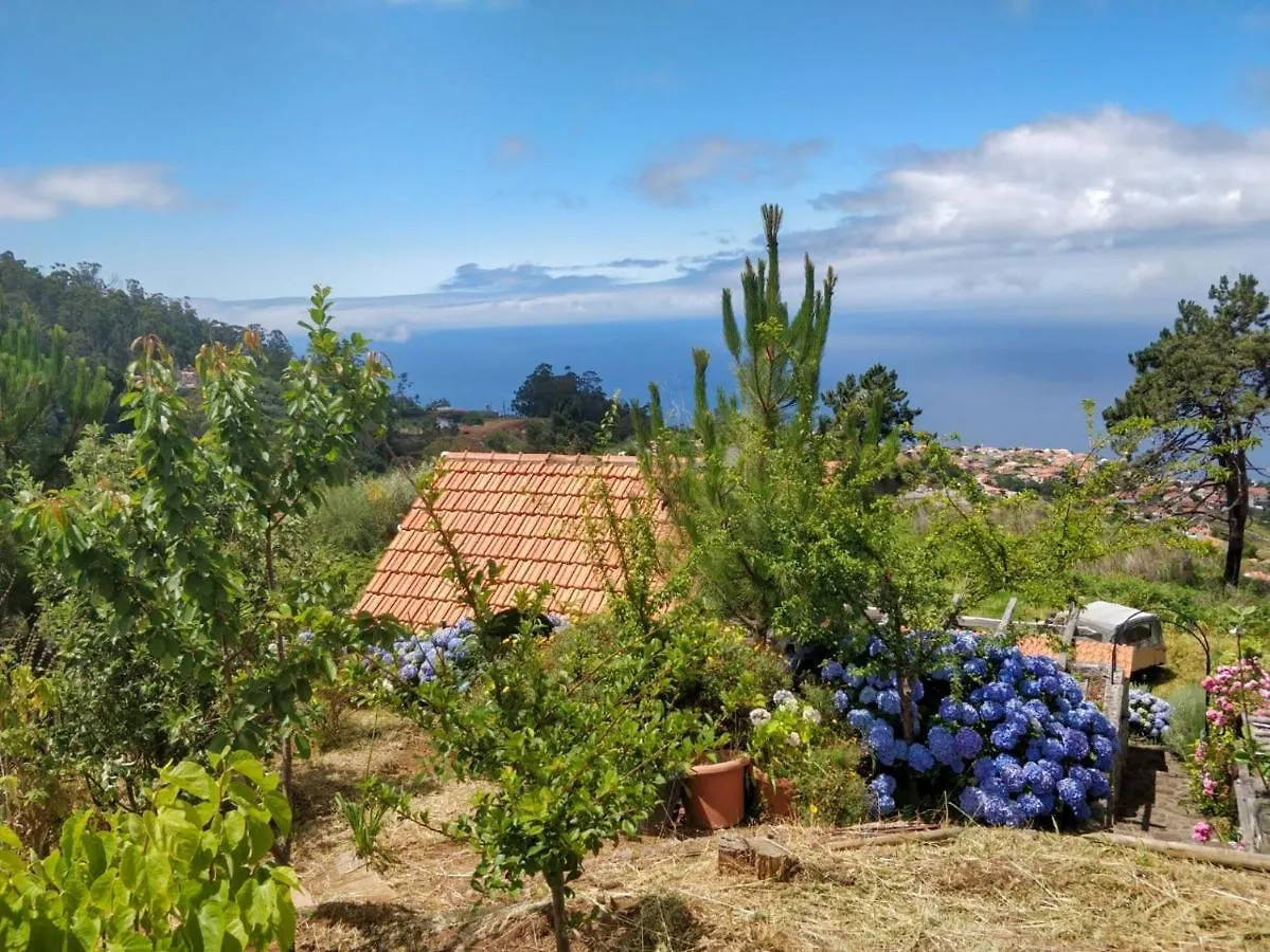 Achadinha - Mountain Cottage Arco da Calheta  0*, Arco da Calheta (Madeira) Portogallo